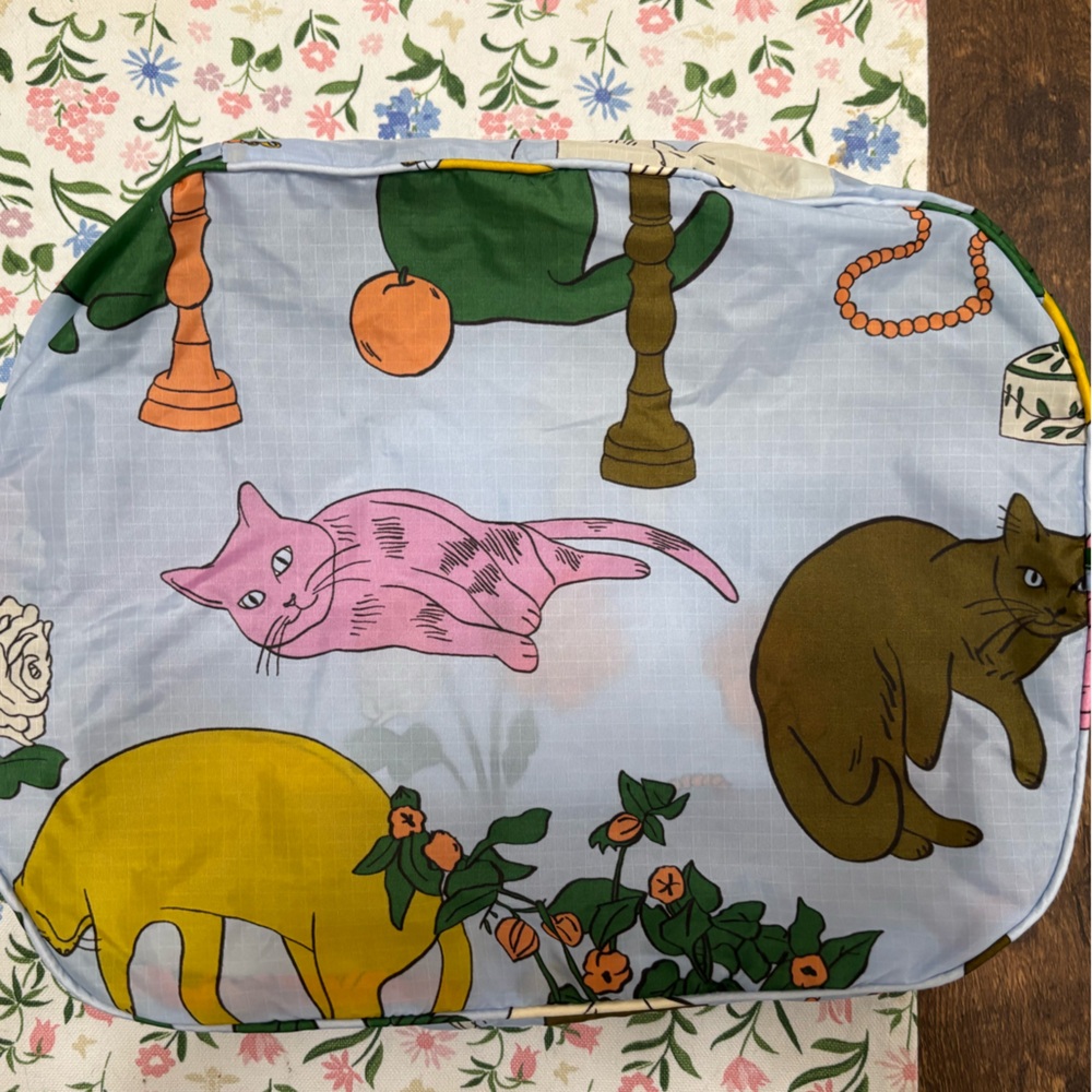 BAGGU Still Life Large Packing Cube Set - Picture 4 of 5
